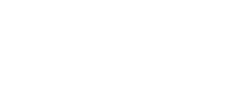Duel